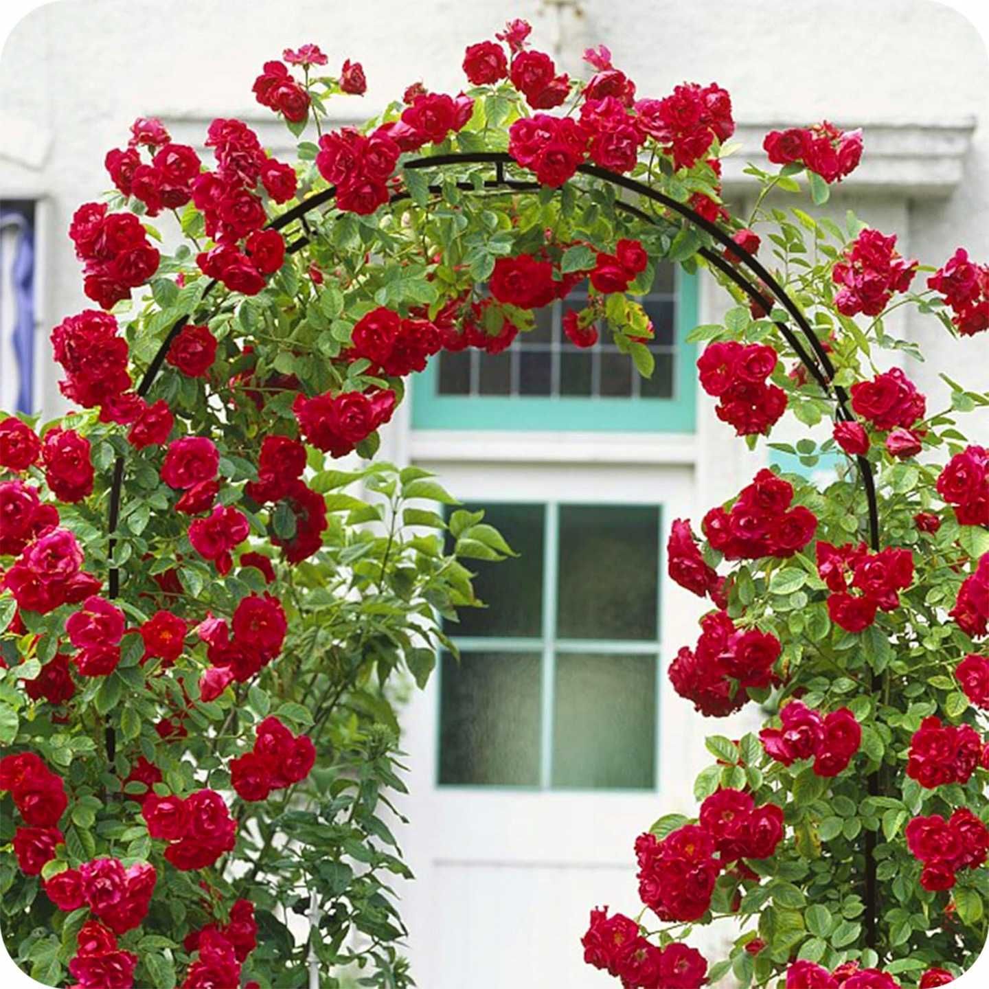 pergola ogrodowa tarasowa łuk uchwyt na róże kwiaty bluszcze 240 cm