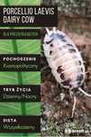 Porcellio laevis Dairy Cow – isopody, ekipa sprzątająca