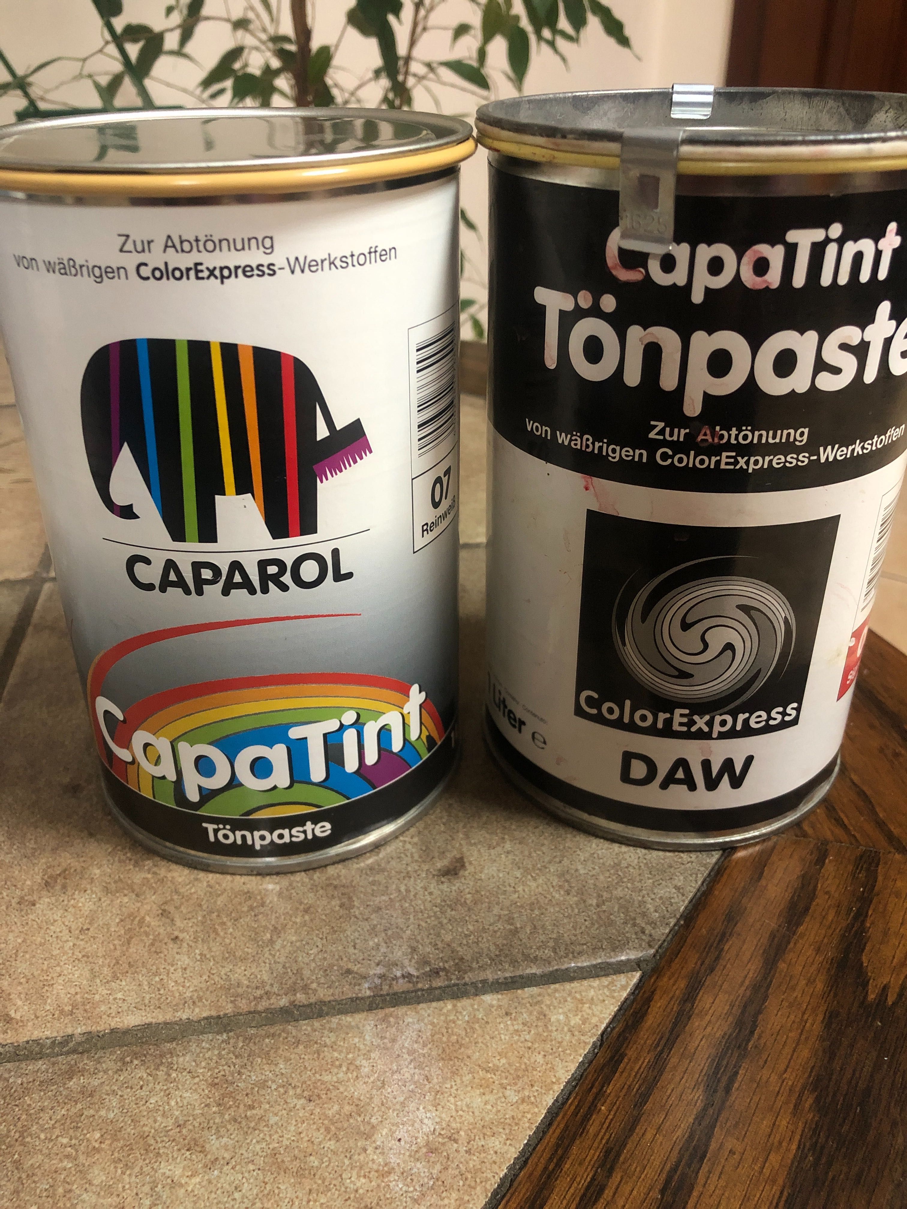 тон- паста CapaTint Toenpaste фірми CAPAROL