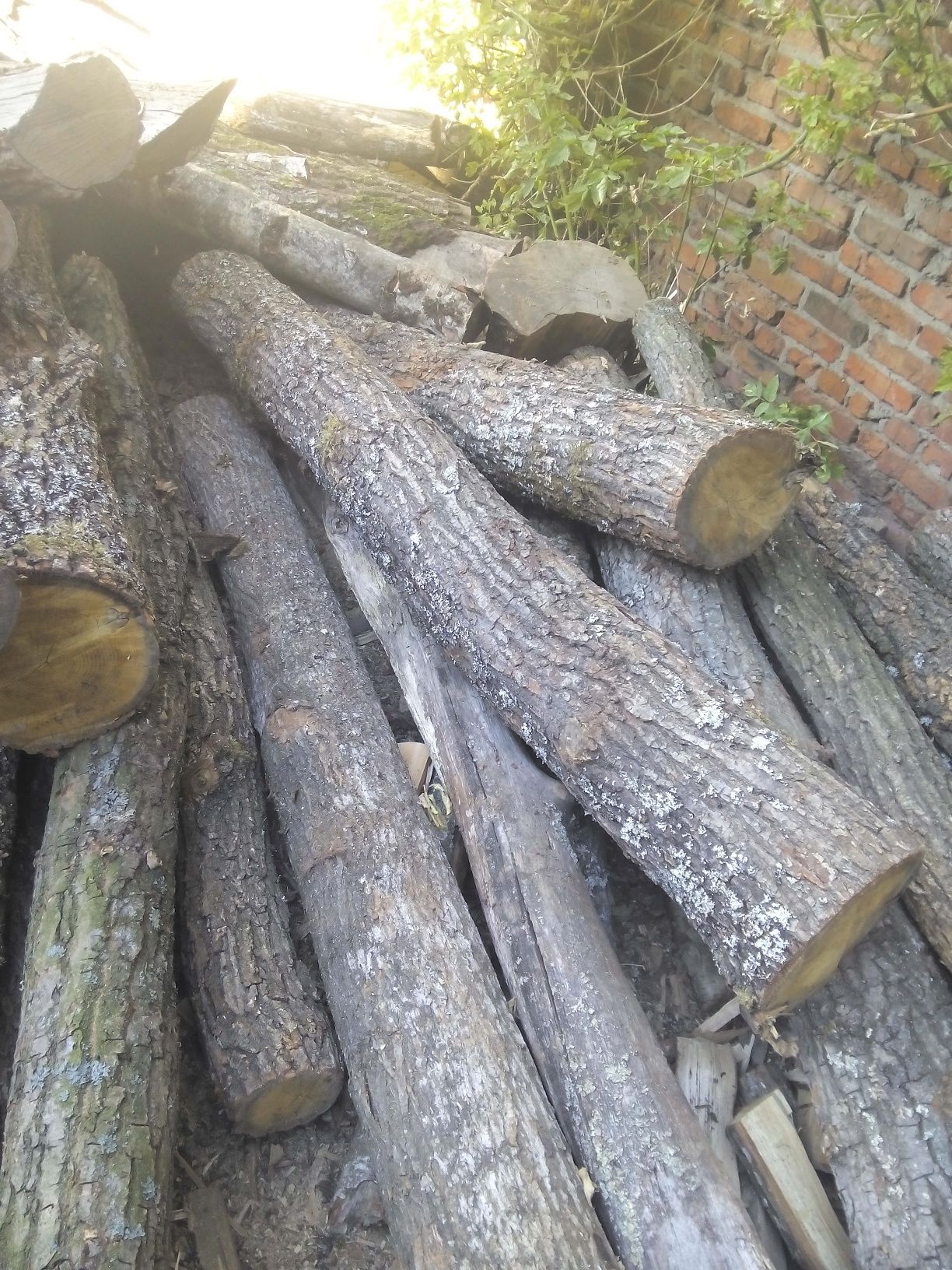 продам дрова с доставкой