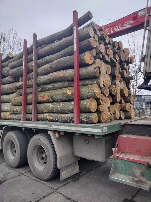 Drewno buk sezonowane 400 zł mp