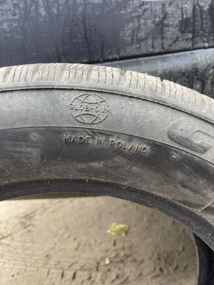 Резина зимова 225/55 r17