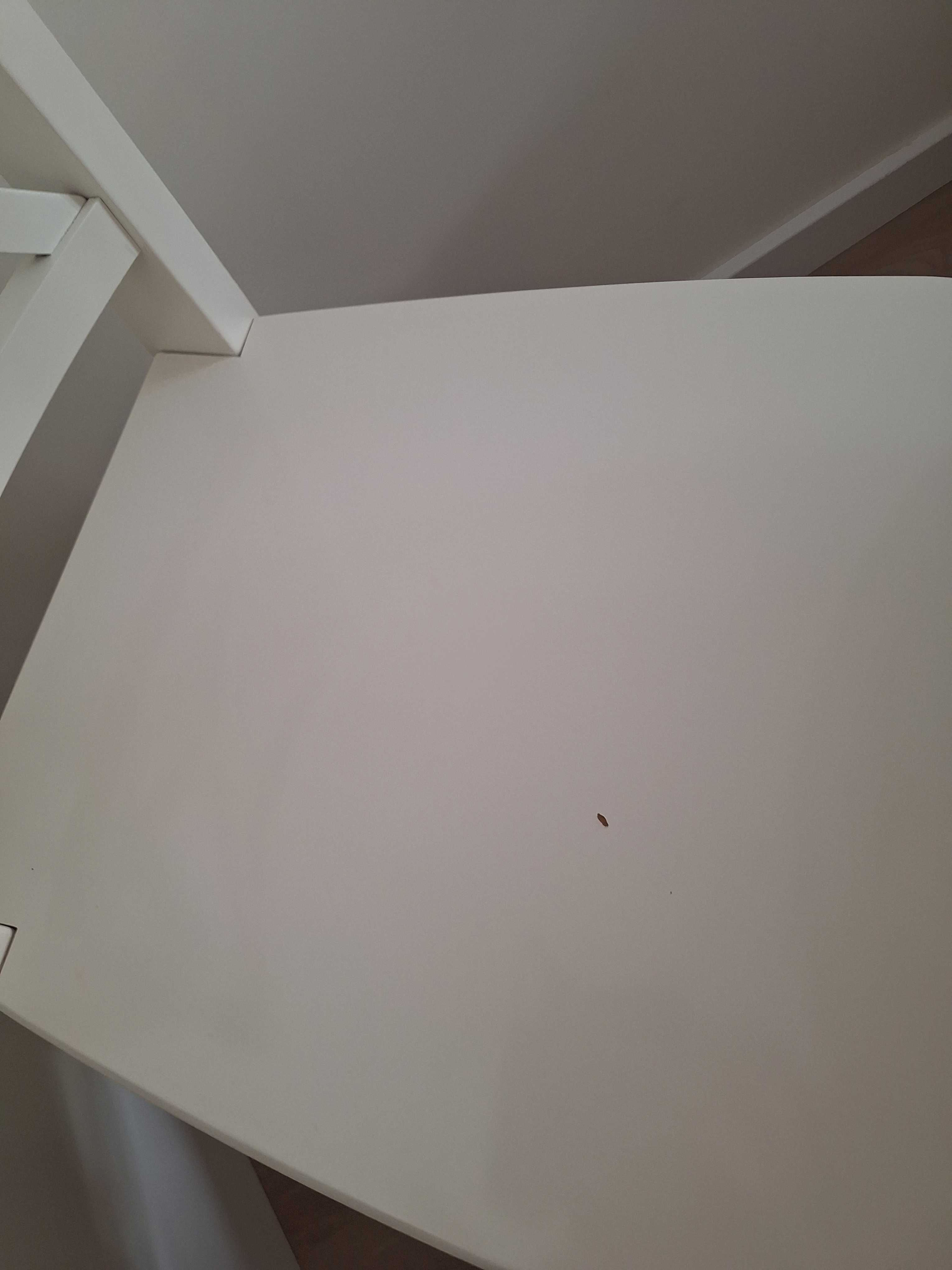 Stół z krzesłami IKEA INGATORP / INGOLF