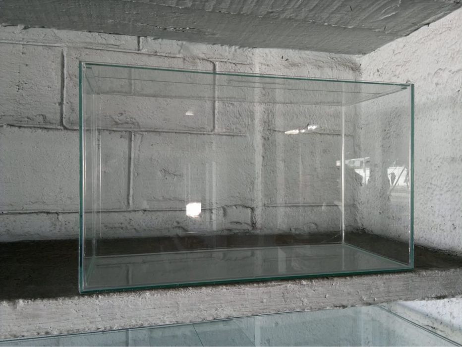 Aquário para peixes ou para répteis