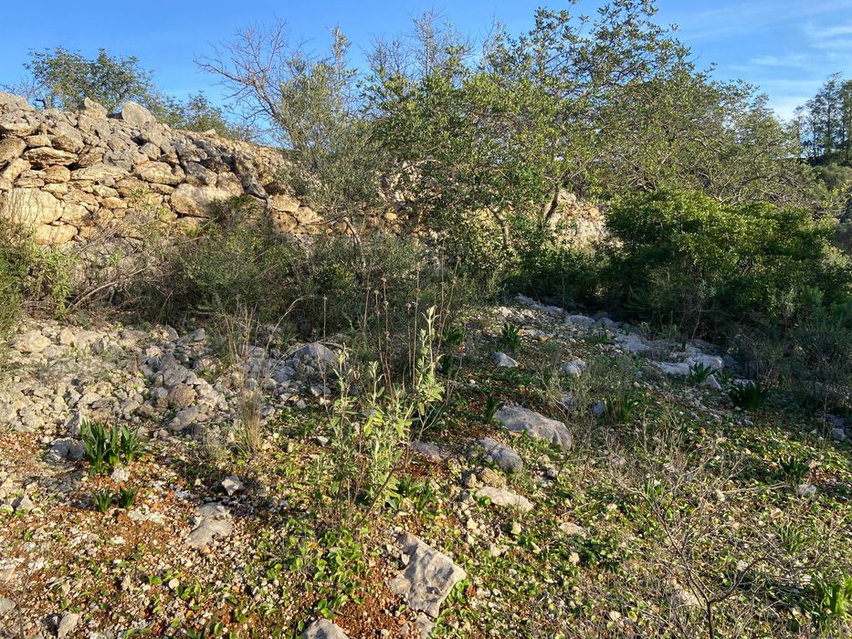 Terreno Vista Mar - Boliqueime