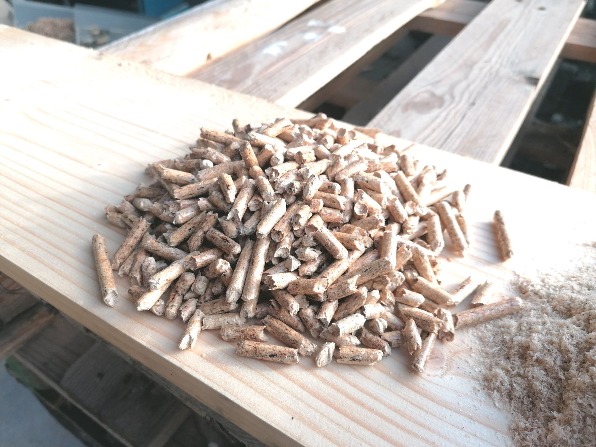 Pellet drzewny A1 "Producent"