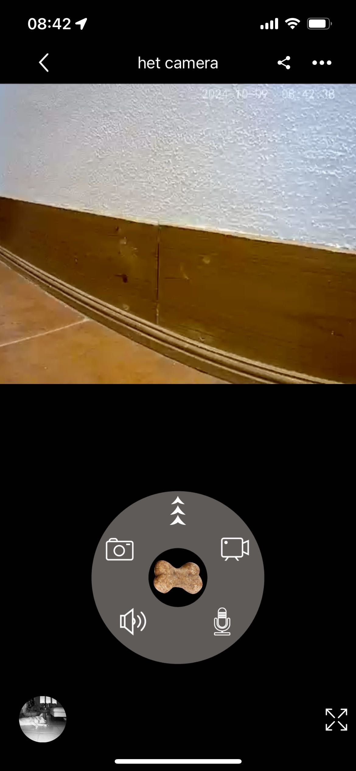 Camera pet Skymee Petalk AI lança biscoitos como novo