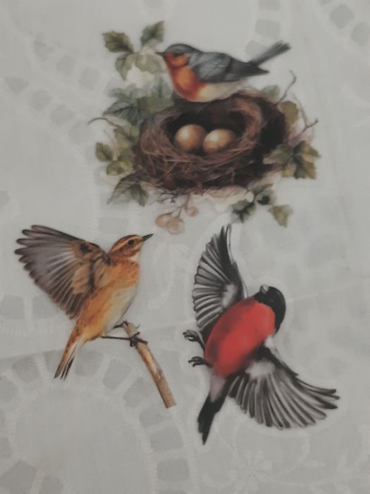 15 stickers pássaros selvagens, autocolantes scrapbooking.