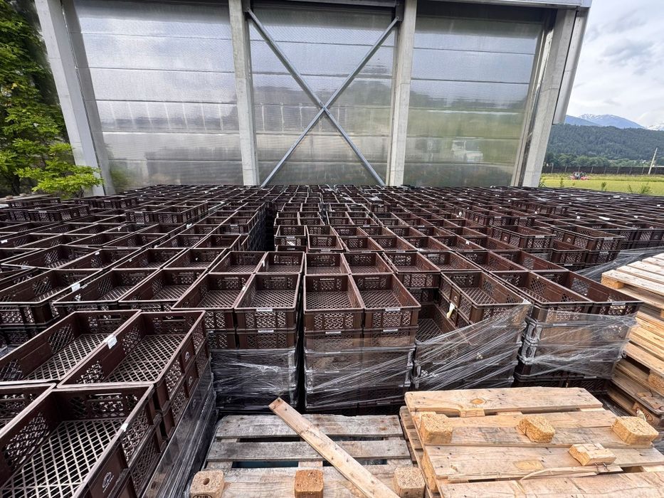 Skrzynka piekarnicza Skrzynka plastikowa , skrzynka ażurowa ,pojemnik