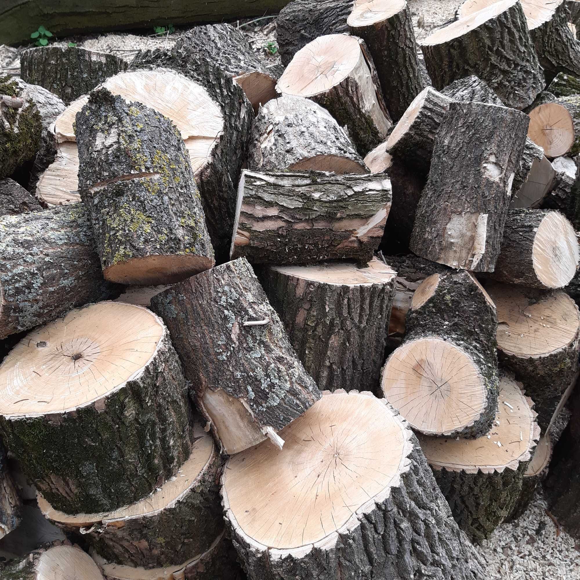 Drewno opałowe porżnięte w klocki
