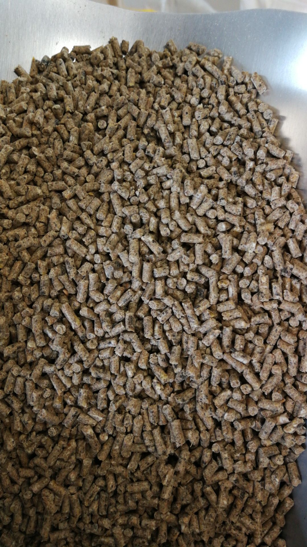 Pasza Karp Tucz 25kg, stawy hodowlane, zanęta