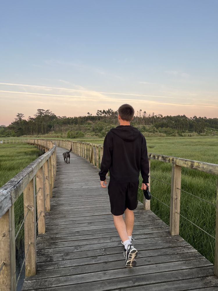 Passeio com cão/ Dog walking/ Вигул собак