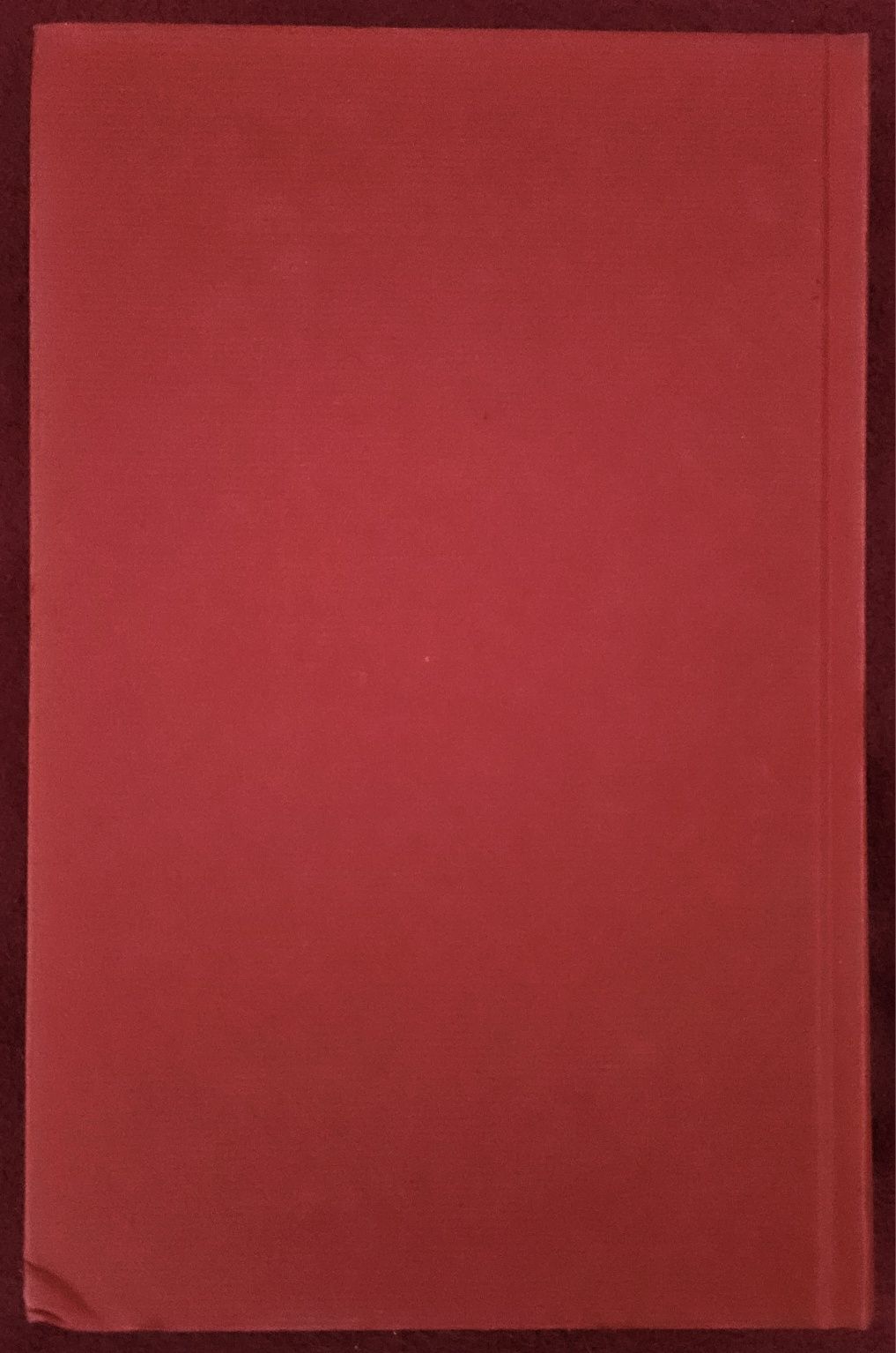 Amerykaana - Chimamanda Ngozi Adichie