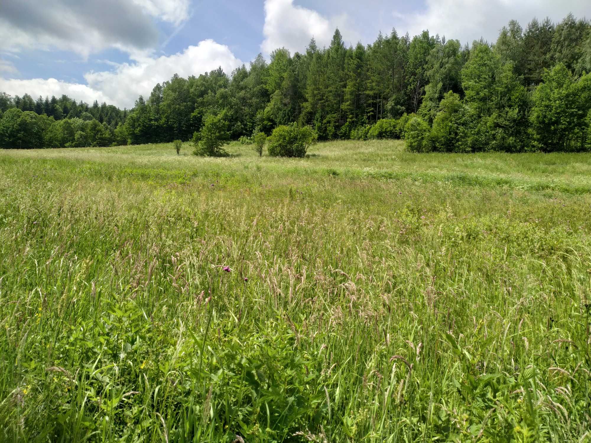Atrakcyjna działka w Bieszczadach - Górzanka, gm. Solina