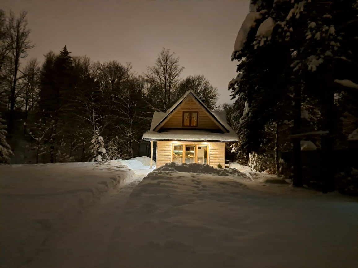 Luksusowy Domek drewniany w górach z kominkiem SAUNA BALIA