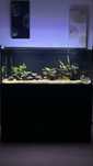 Aquario 120cm 300litros com movel