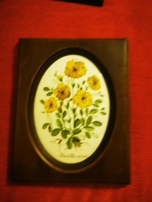 4 Quadros tema flores