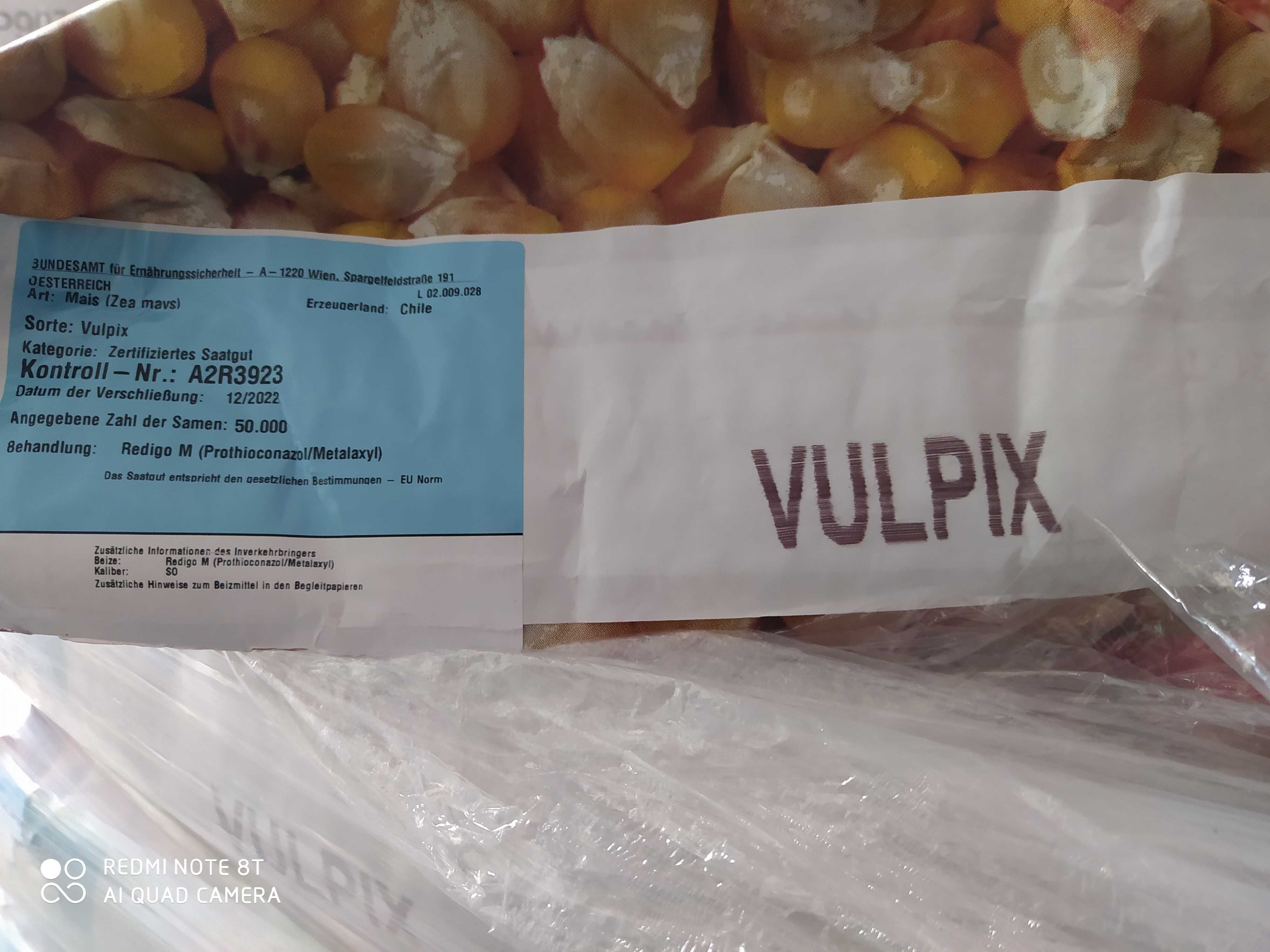 Kukurydza nasiona IGP Vulpix Quentin codigip Wyprzedaż