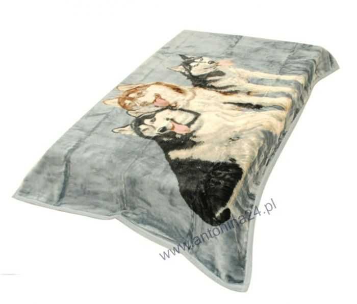 Nowy gruby koc firmy Elway 210x160 koty