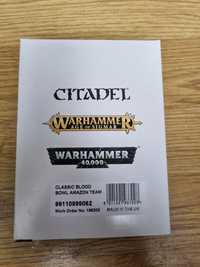 Warhammer/ citadel classic blood  bowl  AMAZON team  - METAL