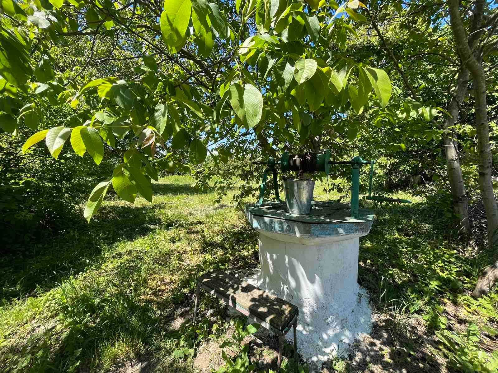 Продається земельна ділянка в с. Хижинцях 2816