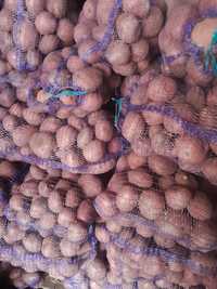 Продам картоплю насіневу Мелоді і велику Біла роса