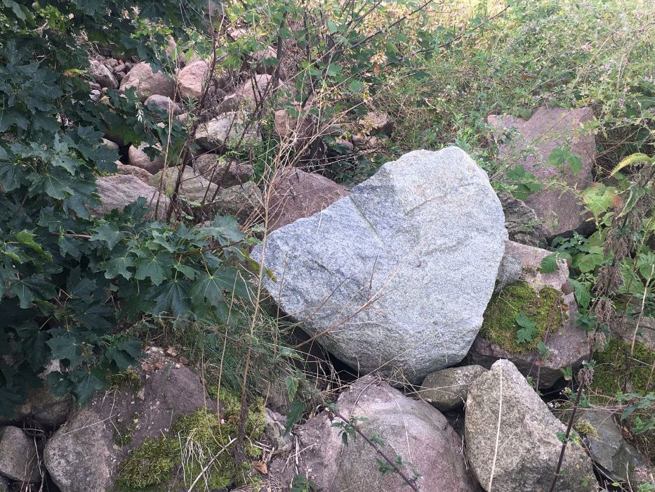 Kamień Polny Gniezno Okolice