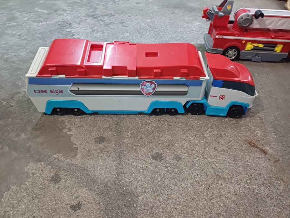 Transportes patrulha pata