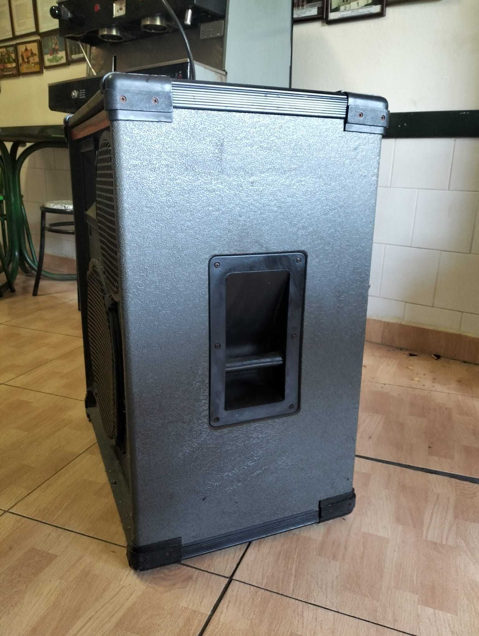 Coluna Acústica 300W, 8ohm