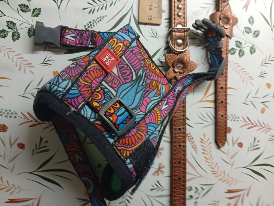 Ошейник, намордник