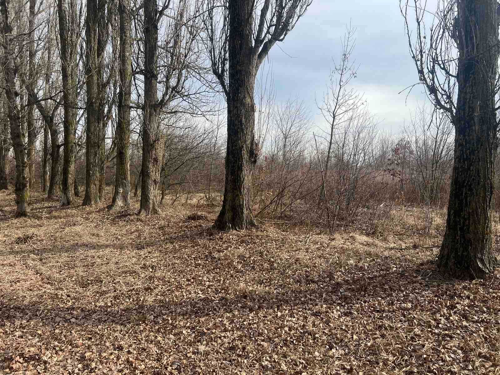 Земельна ділянка, площею 0,1 га, Київська обл., м. Яготин