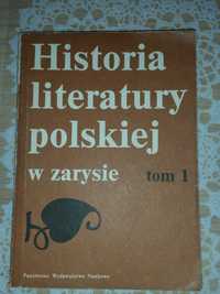 Historia literatury polskiej w zarysie PWN książka 1987