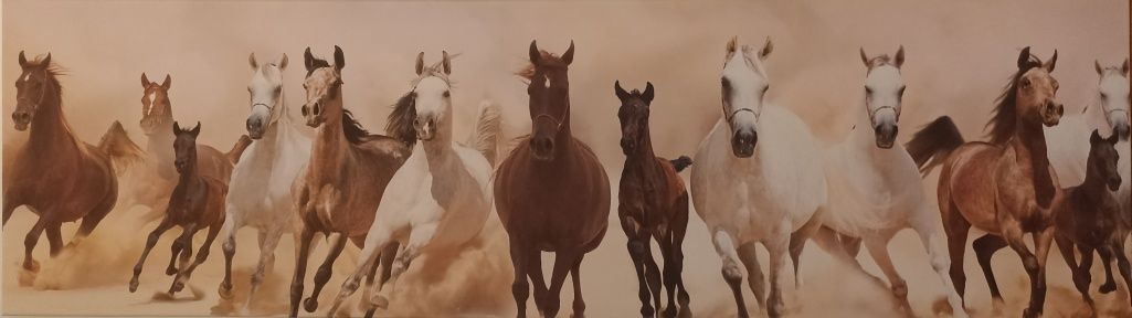 Obraz, nadruk na płótnie biegnące  konie