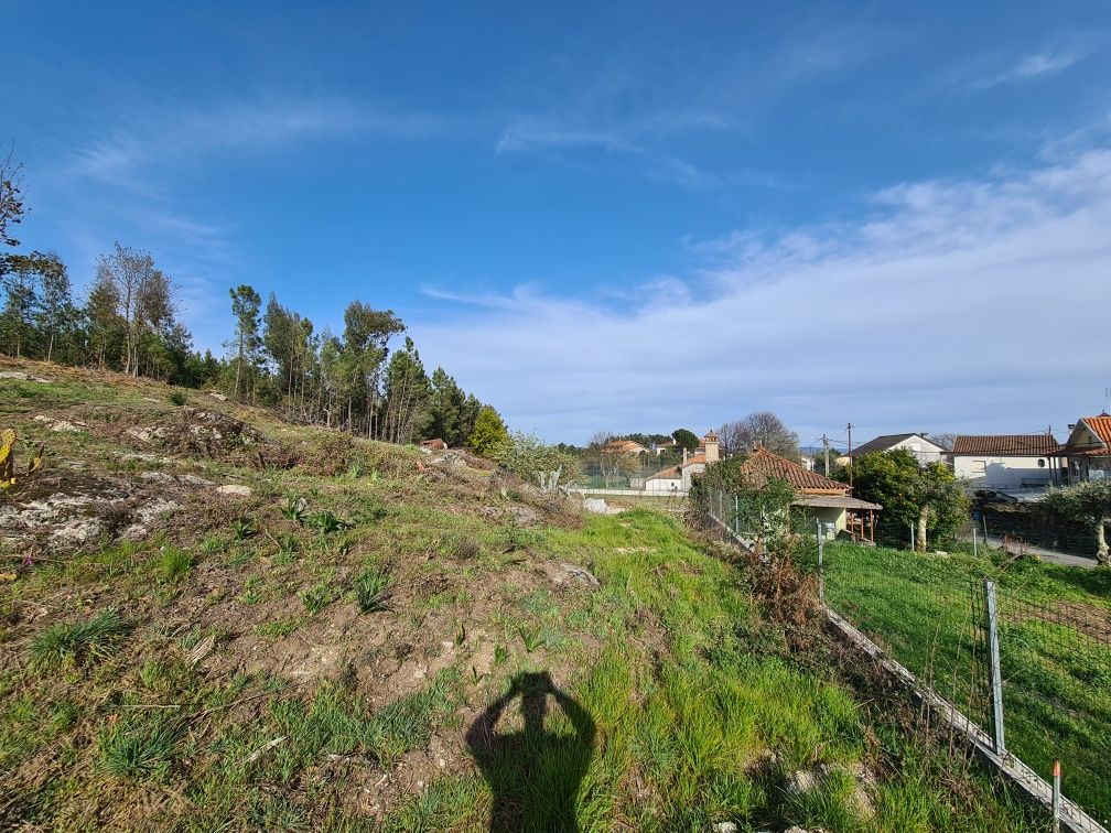 Terreno para Construção 5000m2 Santos Evos