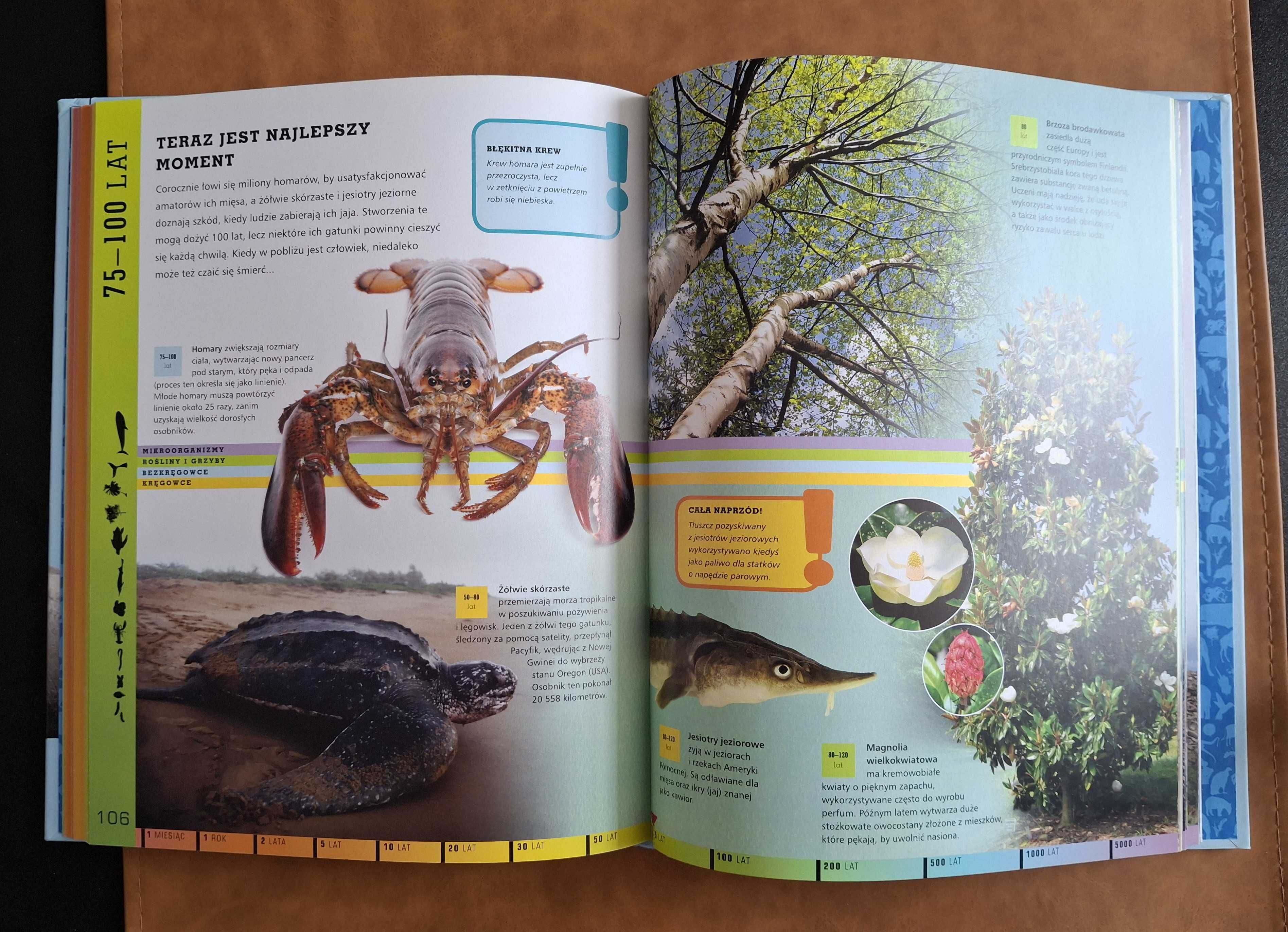 Jak nowa Encyklopedia Życie na ziemi Olesiejuk