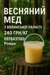 Весняний мед з Волині – натуральний, смачний!
