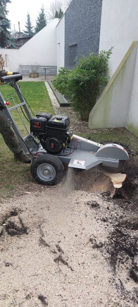 frezowanie pni, frezarka do pni usługa usuwania pni, karczowanie