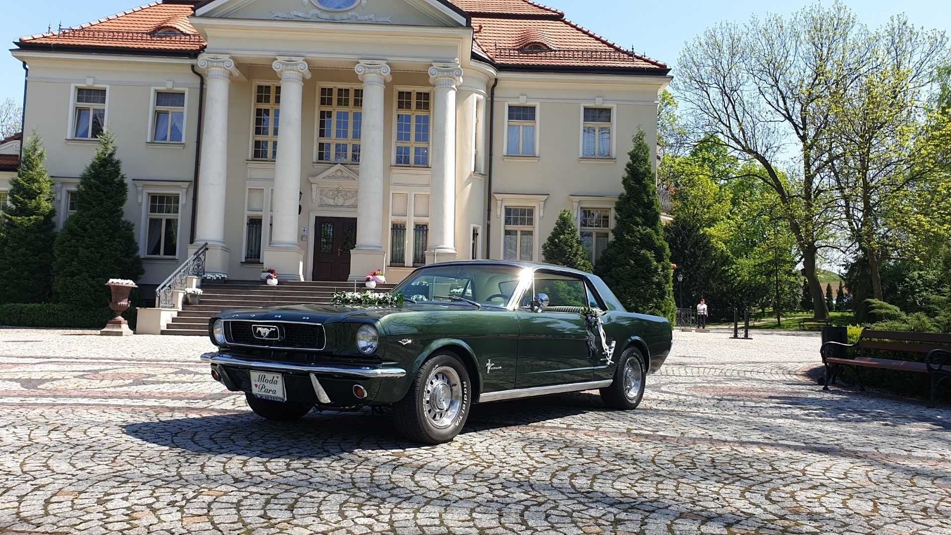 Auto do ślubu Mustang wynajem, samochód na wesele Wrocław łódź Kalisz