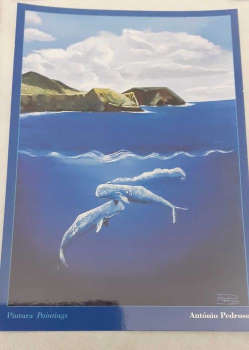 Liv2- Pack com 8 postais de golfinhos da autoria de António Pedroso