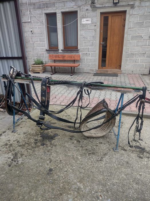 Za kucyka wymienię lub sprzedam