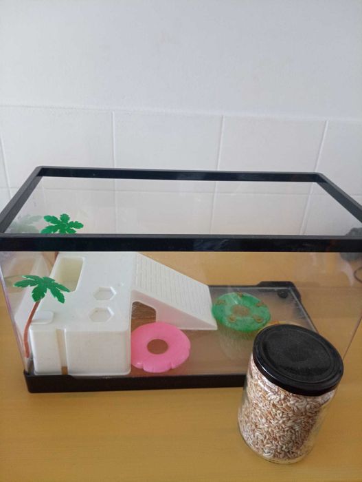 Aquario / tanque para tartaruga aquática