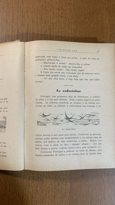 Terra lusa - decada de 20