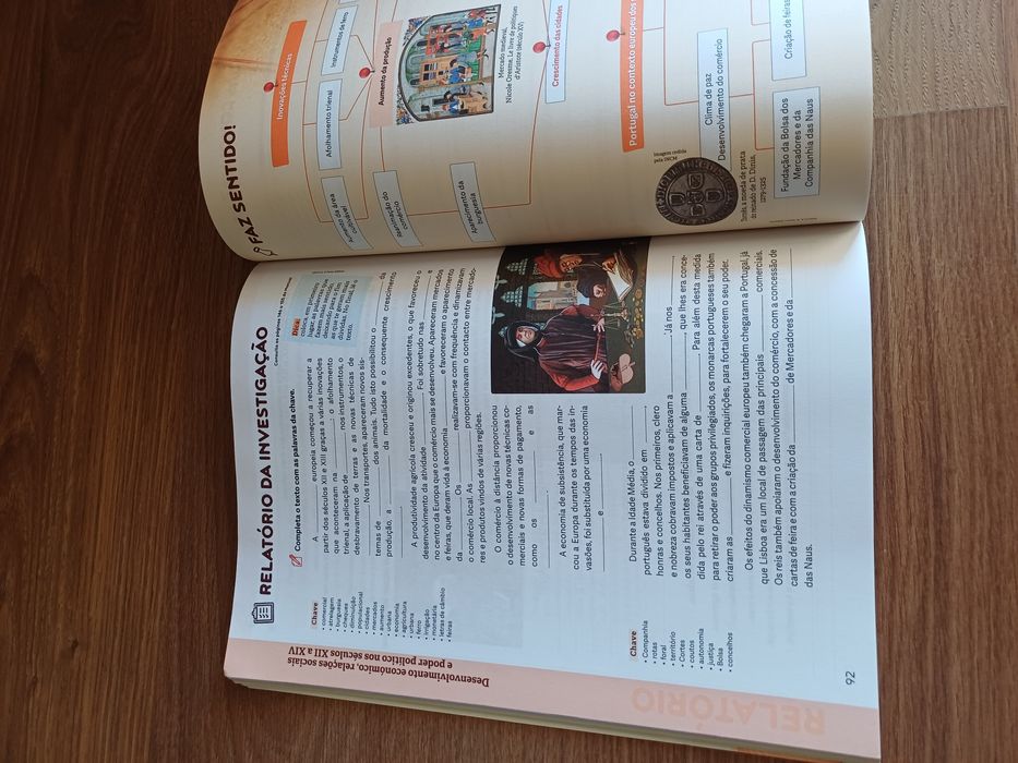 Caderno de actividade historia HSI 7 ano.