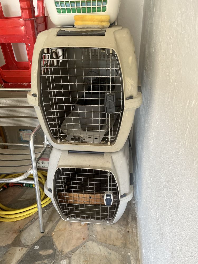 Casotas para caes medio porte
