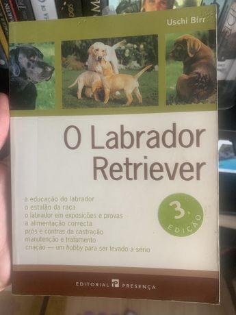 O Labrador Retriever