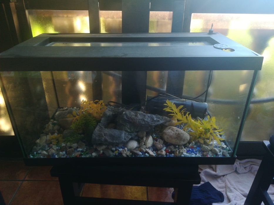 Aquário com bomba