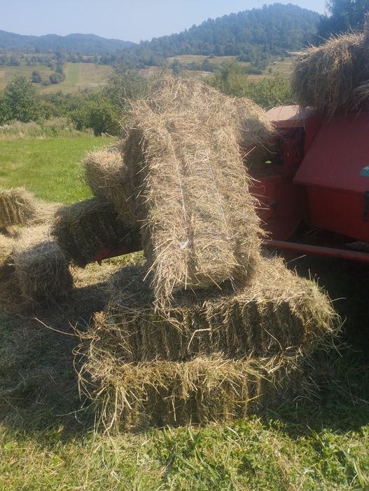 Тюки із сіна отави урожай 2025