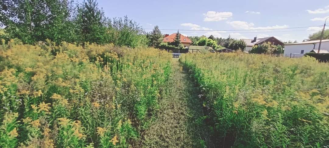 Glebogryzarka separacyjna ogrody pielęgnacja trawniki koszenie mulczer