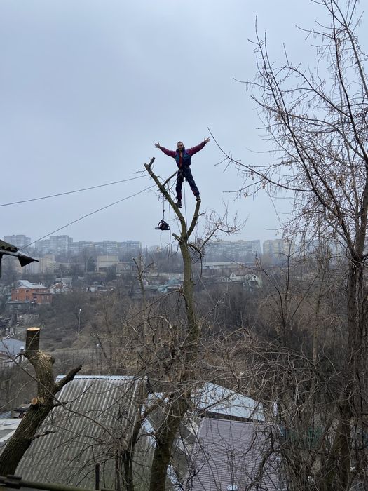 Спил деревьев,обрезка веток,арбаристика,