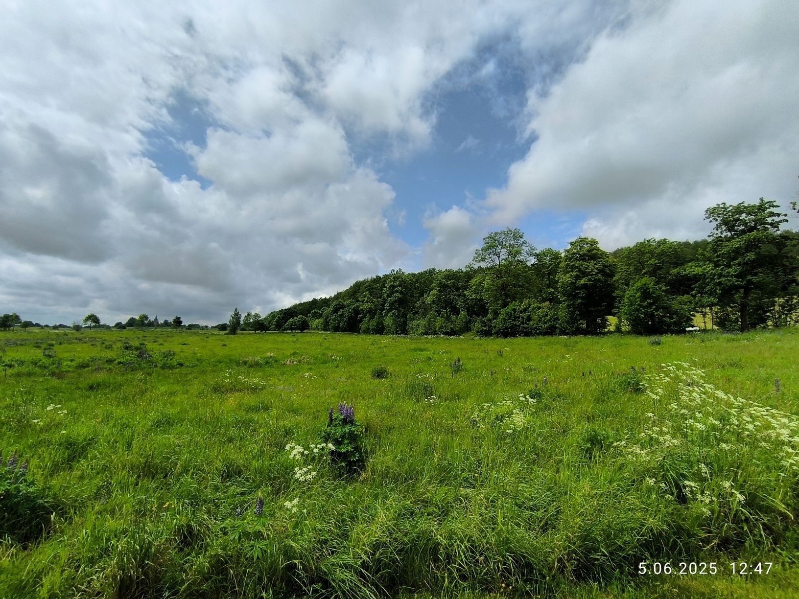 Działka rolna 3000m2